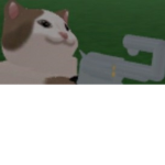 de epik cats