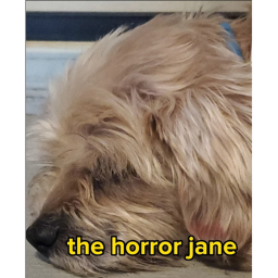 The Horror Jane!!!