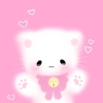 kittyclinic