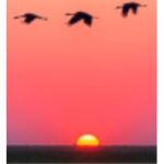 ~ Safe Place. ~