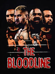 WWE WRESTLING MERCH