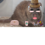The Bratty Ratties