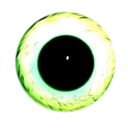 My Home icon