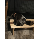 Remi loves Robux