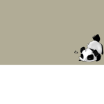 o~o Panda squad o~o