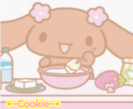 +~Cookie~+