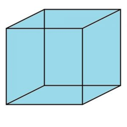 no puedes salir de este cubo