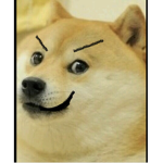 Doge like to bork