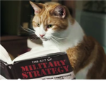 The Military Cats of Robloxia