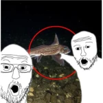 CatfishYAY official group Group Thumbnail