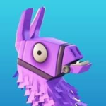 Robux for Igor