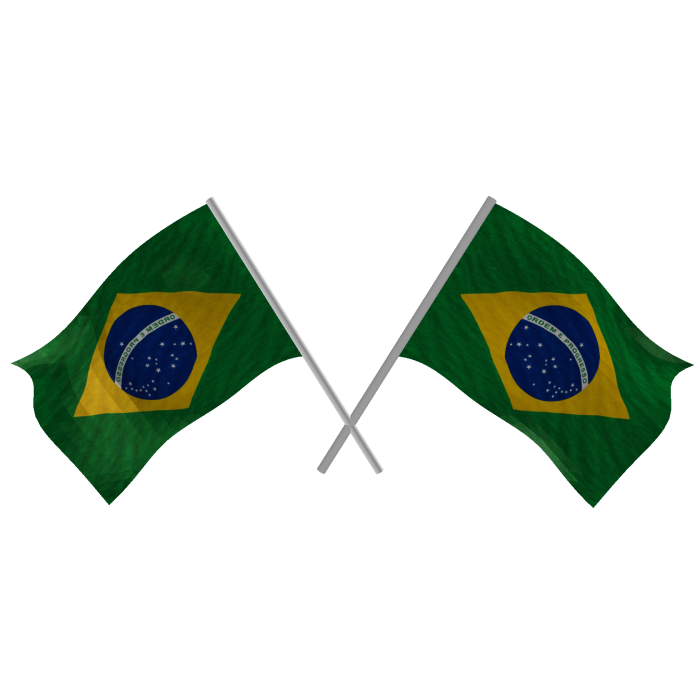 Brazil Double Flags