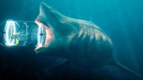 the meg shark