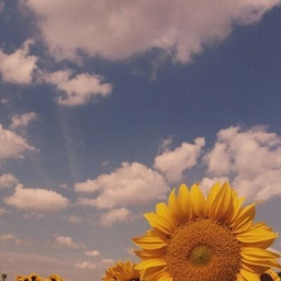 ❀