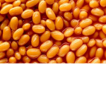 THE BEAN ARMY >:)
