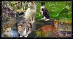 ~~~~Warrior Cats~~~~