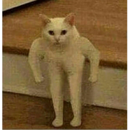 Stronk Cats Hang Out (BACK)