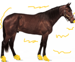 Super Horse A