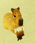 Capybara’s group