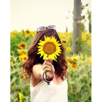 Ⓢⓤⓝⓢⓗⓘⓝⓔ