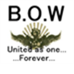 B.O.W.   Brothers of War