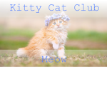 Kitty Cat Club || Meow!