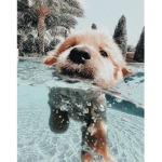 MekkoxxGroupxxaesthetic
