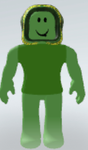 TEAM HULKSNINJAS