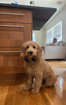 Luckywhiskey