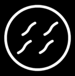 Reint Design Studio