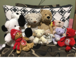 Teddys united.