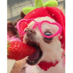 ~ PinkArmy ~ Group Thumbnail