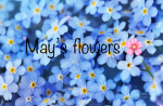 May’s flowers