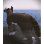 DuneClan