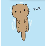 Otter rule squad
