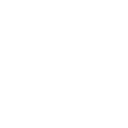 x64dbg simulator