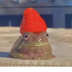 frogs are cute don’t you think ?