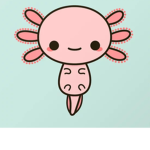 Axolotl team12
