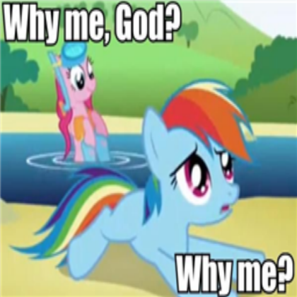 MLP meme 4 Roblox decal