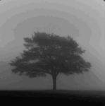 Headmetics UGC Group Thumbnail