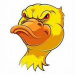FloppyDuck Crew