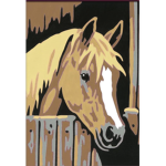 Wir lieben ponys