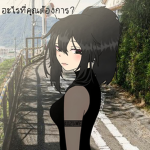 《neko》