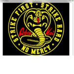 Cobra Kai Sean