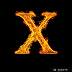 XRAYXGANGX