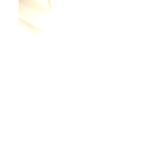 Lavax