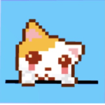 The kawaii kitten squad Group Thumbnail