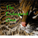 The Endangered Ones