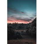 TLR | The Land Rising