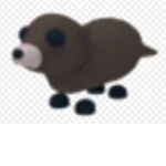 Otter and seals